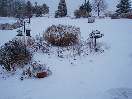 First Snow of 2011